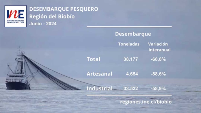 Desembarque pesquero en la Región del Biobío disminuyó 68,8% en junio Desembarque pesquero en la Región del Biobío disminuyó 68,8% en junio
