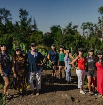 Enfocándote en la 'S' de ESG: Clave para el Éxito Sostenible