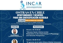 Expertos Nacionales e Internacionales se reunirán en Concepción en Seminario sobre Ostras