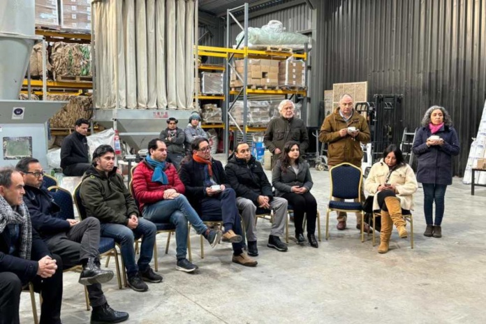 Innovación y Sostenibilidad Thermikhaus revoluciona la construcción en el sur de Chile con aislación térmica de cartón reciclado