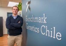 Benchmark genetics anuncia nuevo gerente general para Chile
