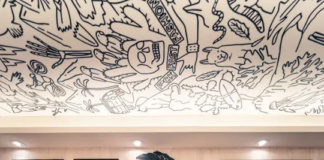 Wild Lama se integra al portafolio de Venture Debt II de BTG Pactual Chile y proyecta duplicar sus tiendas, alcanzando 25 en 2026