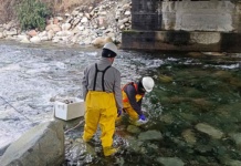 ADL Diagnostic Chile obtiene renovación de norma ISO 17020 para su área de medio ambiente