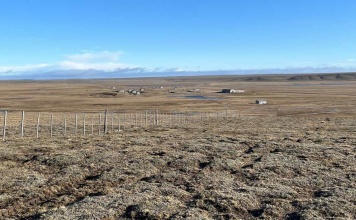 CONAF avanza en la evaluación ambiental de proyecto de hidrógeno verde