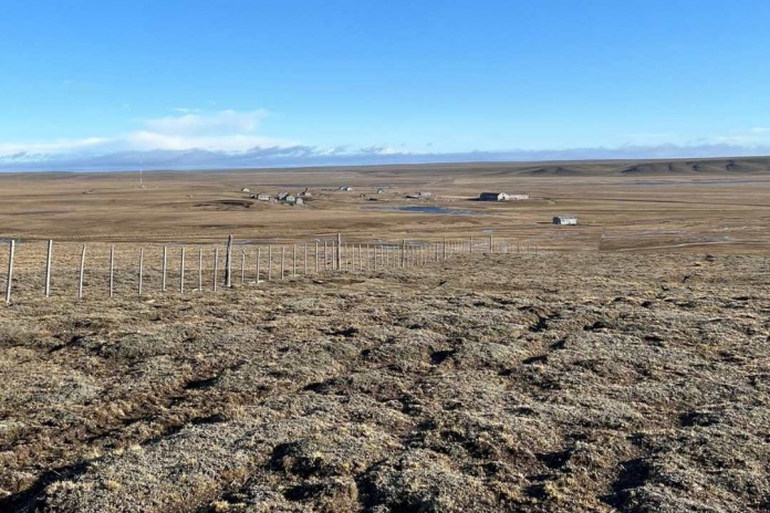 CONAF avanza en la evaluación ambiental de proyecto de hidrógeno verde