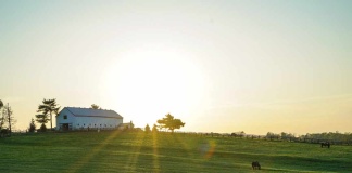 Valores de parcelas subieron hasta 200% en diez años