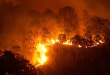 Día Internacional del Cambio Climático: La fragilidad de nuestros ecosistemas 