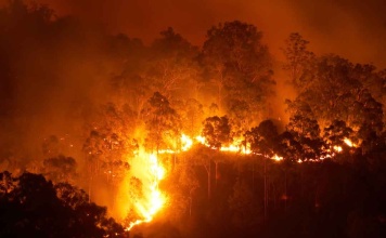 Día Internacional del Cambio Climático: La fragilidad de nuestros ecosistemas 