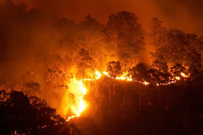 Día Internacional del Cambio Climático: La fragilidad de nuestros ecosistemas 