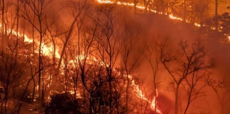 Especialistas de la UCSC alerta sobre los desafíos climáticos en Biobío