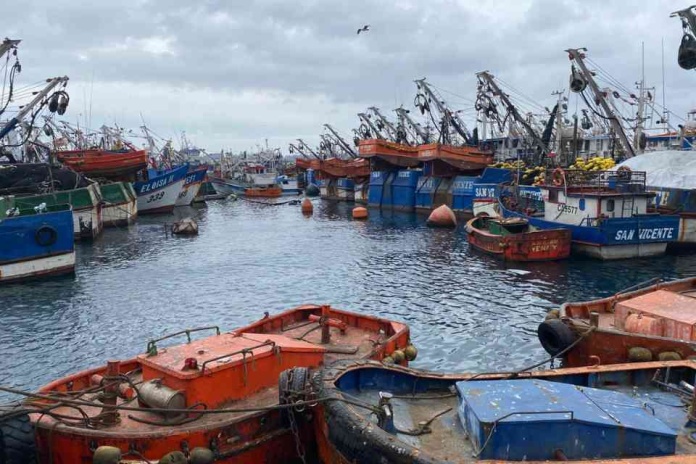 Biobío: Programa piloto del INDESPA financiará dispositivos acústicos para prevenir capturas no deseadas de mamíferos en la flota artesanal albacorera