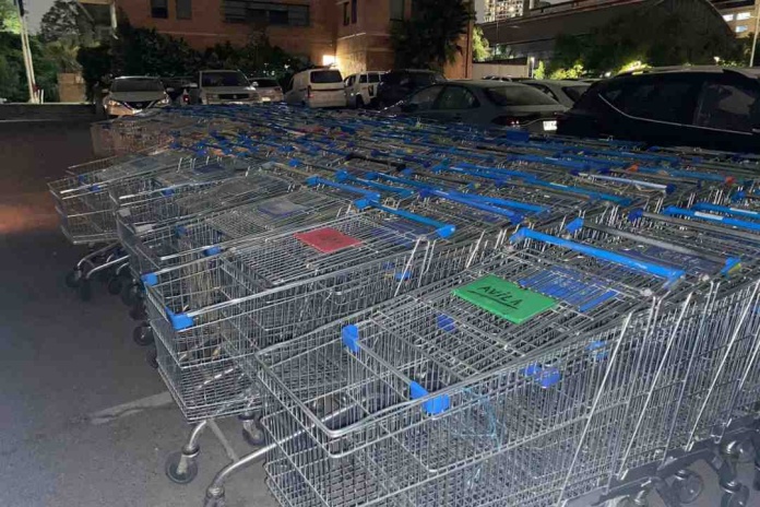 Recuperan 347 carros de supermercado al interior de la Vega Central avaluados en $22 millones de pesos