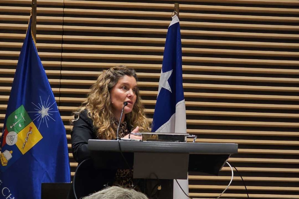 Seminario ampliado marca última etapa en la elaboración de los planes que impulsa el Minvu en materia de mitigación y adaptación al cambio climático para ciudades