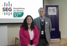 Subcomisión de Estadísticas de Género cumple una década