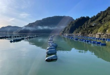 CENTRO INCAR anuncia seminario y conversatorio sobre acuicultura regenerativa