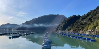 CENTRO INCAR anuncia seminario y conversatorio sobre acuicultura regenerativa