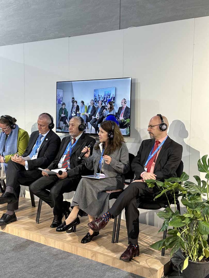 COP29 El rol de la filantropía en el cumplimiento de los Acuerdos de París y la conservación de la biodiversidad