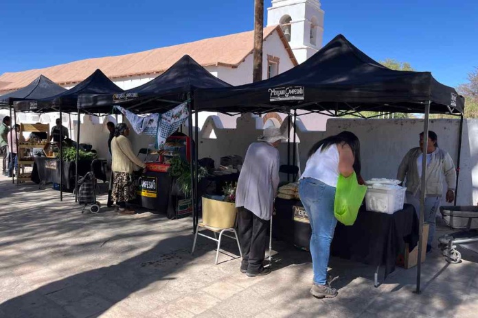 Celebración a productores agrícolas locales, apoyo a la innovación del ecosistema emprendedor del Loa marcan segunda jornada de la Semana de las MiPymes y Cooperativas