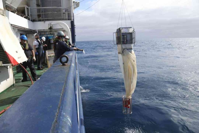 Científicos chilenos recuperan las primeras series de datos oceanográficos desde la Fosa de Atacama en expedición IDOOS II Científicos chilenos recuperan las primeras series de datos oceanográficos desde la Fosa de Atacama en expedición IDOOS II