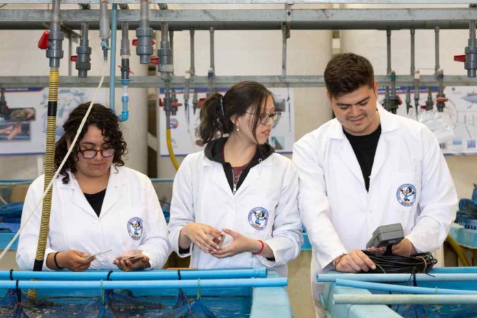 Con la presencia de más de 200 personas comenzó el IX Congreso Nacional de Acuicultura en la UCN