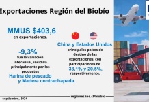 Exportaciones de la Región del Biobío disminuyeron 9,3% interanualmente