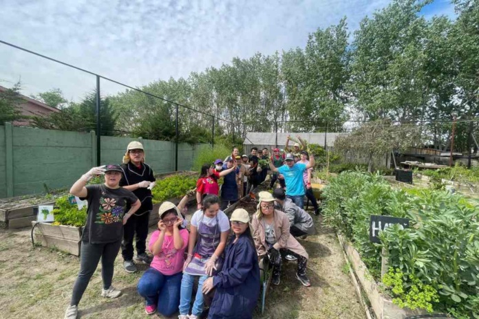 Fondo descúbreme 2025 destinará $100 millones de pesos a iniciativas que fomenten la inclusión de las personas con discapacidad cognitiva