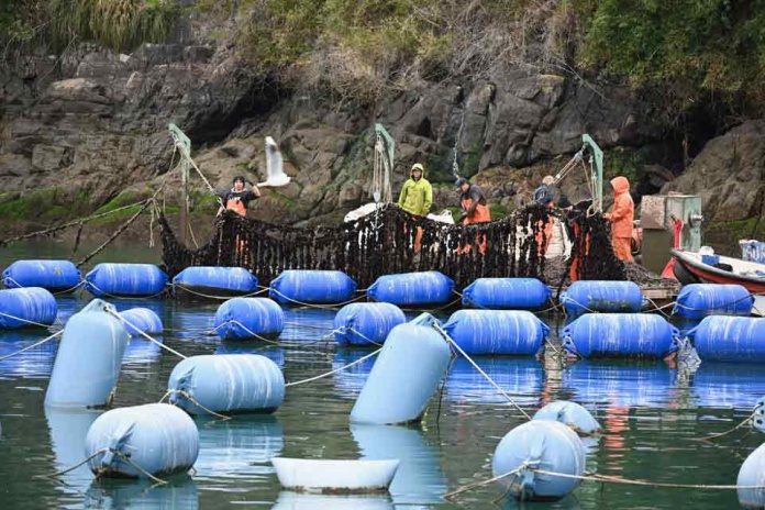 Policy Brief del INCAR entrega propuesta de recomendaciones para abordar la interacción pesca-acuicultura en la nueva legislación pesquera acuícola