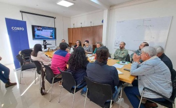 Programa de Atracción de Inversiones de Corfo Aysén impulsa la construcción sostenible y nuevas oportunidades para la lana regional