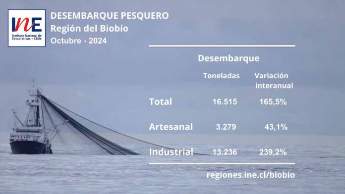 En octubre de 2024, el desembarque pesquero totalizó 16.515 toneladas en la Región del Biobío