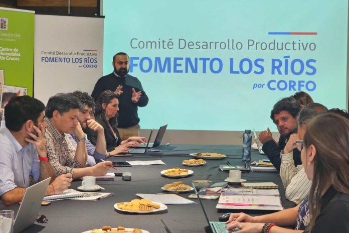 Comité Fomento Los Ríos define inversiones estratégicas para el 2025