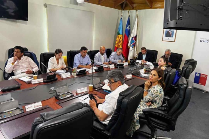 Comité de Desarrollo Productivo O’Higgins se consolida este 2024 apoyando a más de mil beneficiarios de la región 