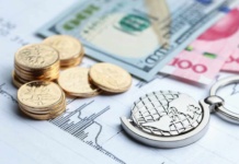 Crece un 28% demanda de inversionistas internacionales en el sur de Chile