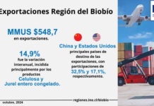 En octubre de 2024, las exportaciones de la Región del Biobío aumentaron 14,9% interanualmente