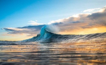 Investigador chileno participa en estudio científico global sobre olas de calor marinas