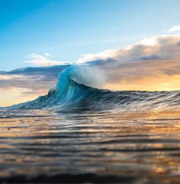 Investigador chileno participa en estudio científico global sobre olas de calor marinas