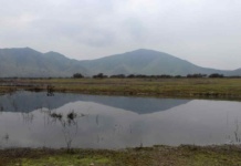 Microsoft invierte en proyectos que aportan agua a la cuenca del Maipo