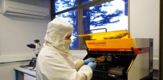 Órganos en un chip: la innovadora tecnología para reducir la experimentación animal