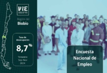 Tasa de desocupación de la Región del Biobío fue 8,7% en el trimestre septiembre-noviembre de 2024