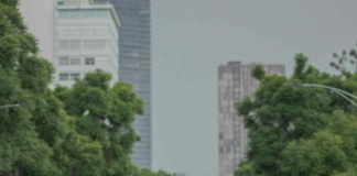 ¿Cómo los sistemas GPS pueden ayudar a reducir hasta en un 20% menos, la huella de carbono emitida por vehículos?