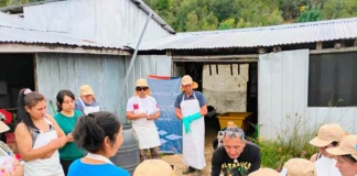 AquaChile impulsa el desarrollo local en Sotomó con capacitaciones de curtido de cuero