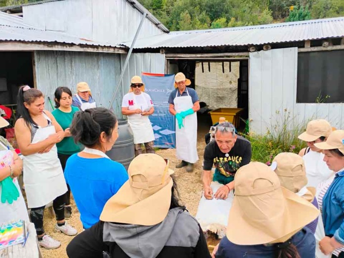 AquaChile impulsa el desarrollo local en Sotomó con capacitaciones de curtido de cuero