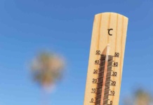 Calor extremo y estaciones desafiantes: El impacto del cambio climático en el verano 