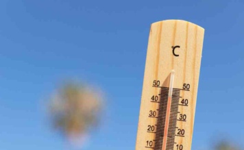 Calor extremo y estaciones desafiantes: El impacto del cambio climático en el verano 