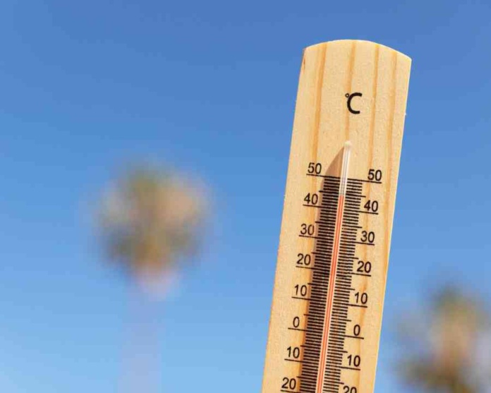 Calor extremo y estaciones desafiantes: El impacto del cambio climático en el verano 