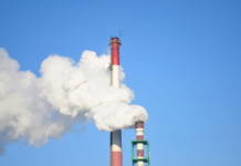 Día Mundial contra el Calentamiento Terrestre: Las decisiones alimentarias son clave