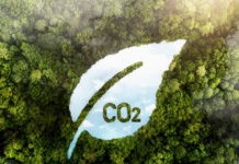 Construcción carbono neutral una tendencia necesaria para el futuro