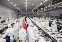 Déjennos trabajar tranquilas: incertidumbre e indignación en las trabajadoras de la industria pesquera del Biobío