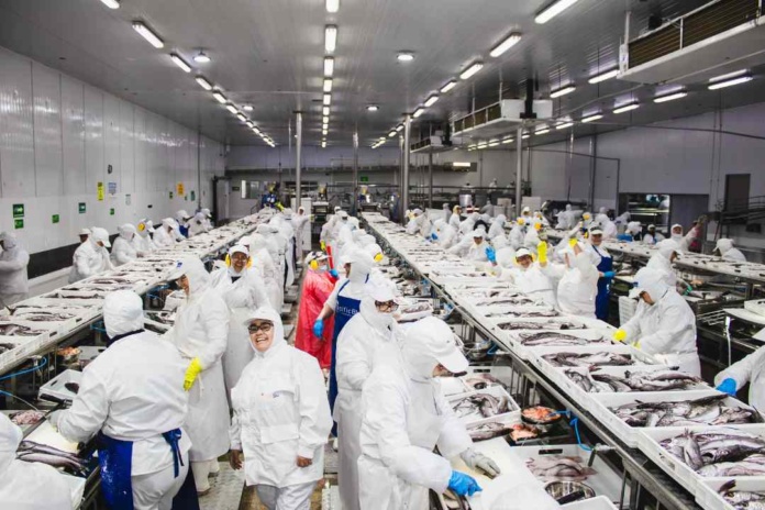 Déjennos trabajar tranquilas incertidumbre e indignación en las trabajadoras de la industria pesquera del Biobío Déjennos trabajar tranquilas: incertidumbre e indignación en las trabajadoras de la industria pesquera del Biobío