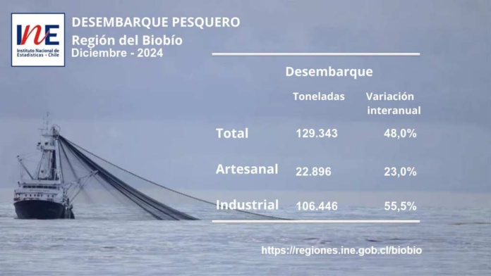 Desembarque pesquero de la Región del Biobío totalizó 129.343 toneladas en diciembre de 2024