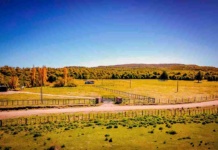 Comprar un terreno en el sur de Chile: momento para una inversión inteligente 